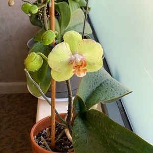 Meet your Posher, Marisol